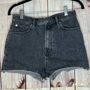 Everlane The Way High Denim Short